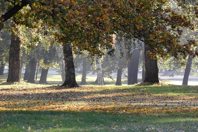 park v Českých Budějovicích
